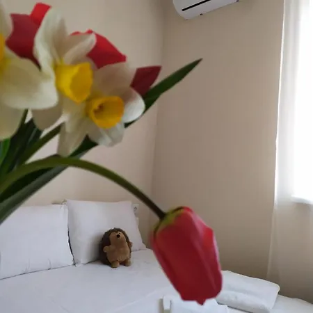 Hotel Krokodyl Odesa